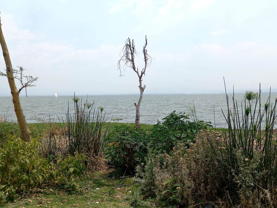 12-Acre Naivasha North Lake Beach Land For Sale at KES 10m Per Acre